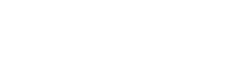 Magical Homes Logo